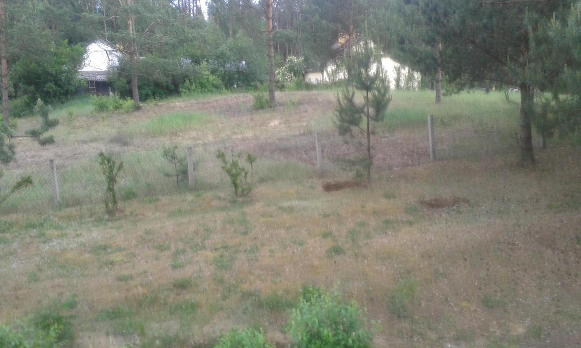 Domek Lesna Przystan Strekowizna Екстериор снимка